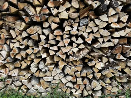 Brennholz Eiche