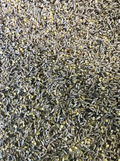 Bio-Futter Roggen Wicke 1.000 kg