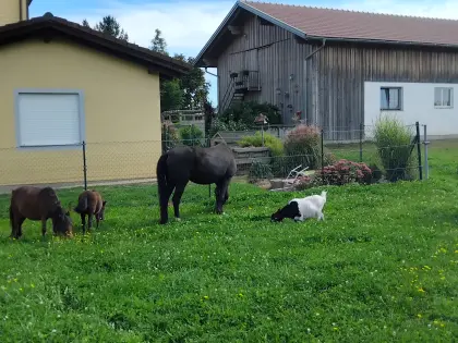 Wohnung zu vermieten, eventuell mit Einstellplatz