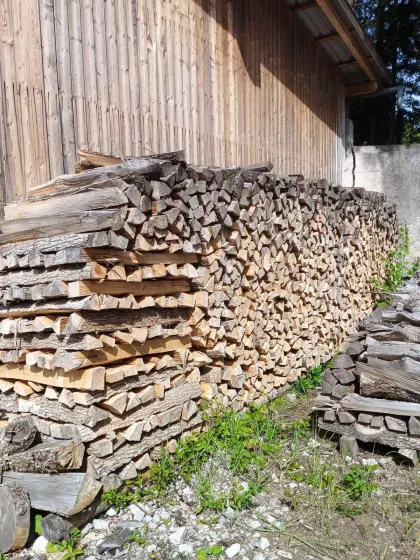 Brennholz Esche