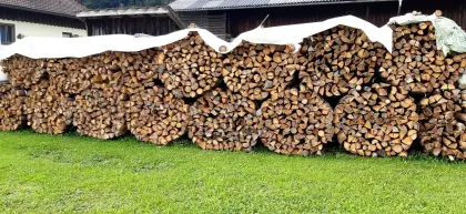 Brennholz weich