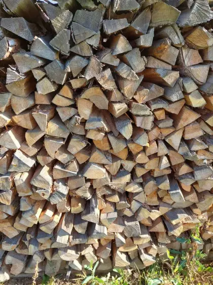 Brennholz