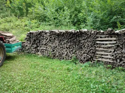 Brennholz