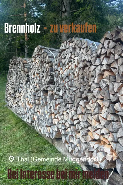 Brennholz Buche und gemischt