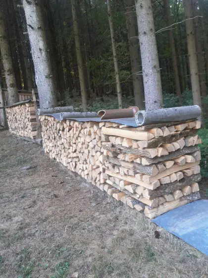 Eschen-Brennholz
