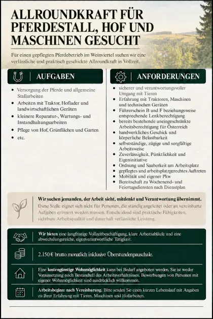 Jobangebot