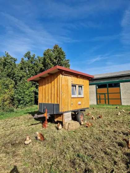 Mobiler Hühnerstall