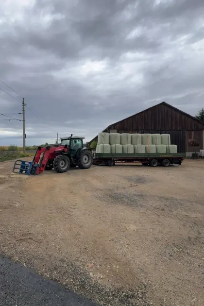 Maissilageballen