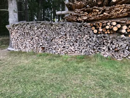 Brennholz Fichte