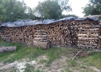 Buchenscheiterholz zu verkaufen