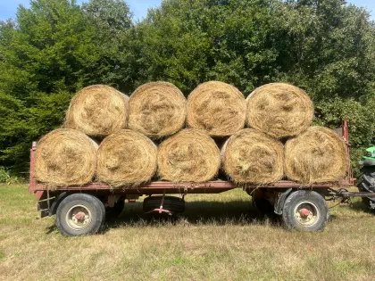 Bio-Heu-Ballen