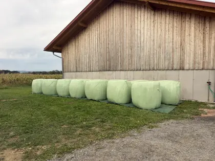 Silageballen 80 €