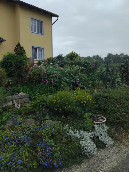 Wohnung im Obergeschoss in Andorf Hötzlarn zu vermieten