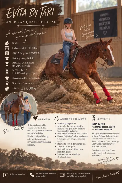 Quarter Horse Stute
