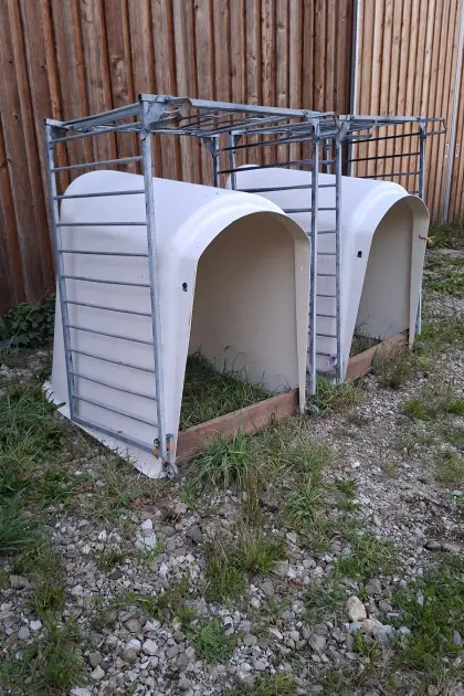 Kälberiglu
