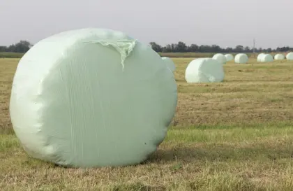 Grassilageballen
