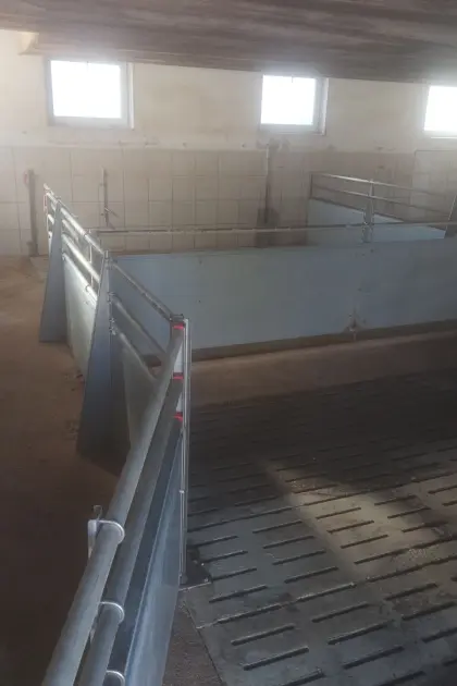 Schauer Aufstallung