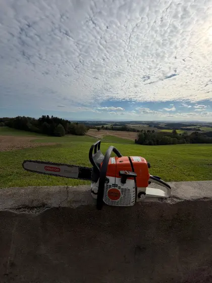Stihl MS 361
