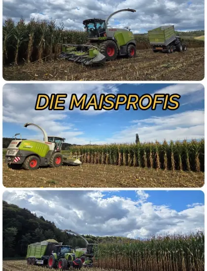 Maisballen