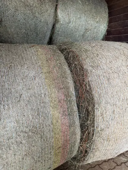 Zustellung 30 Heu-Rundballen, 2. Schnitt, 1,6 m, ca. 390 kg