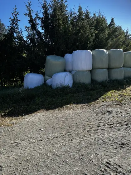 Gras-Siloballen