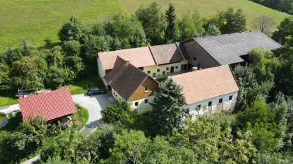 Suche Landwirtschaft für Pferdehaltung, NÖ, Steiermark