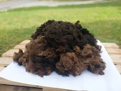 Bio-Schafwolle, Rohwolle als Dünger, Mulch, Schutz, Wildverbiss
