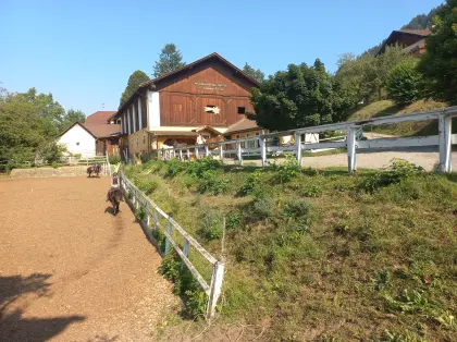 Einstellplatz am Sonnenplateau über dem Millstättersee