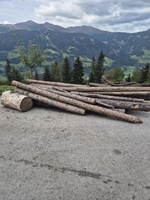 Lärchen-Rundholz