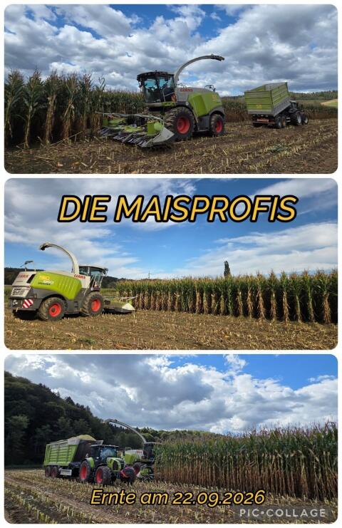 Maisballen