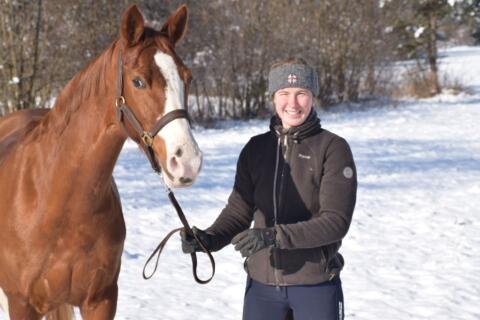 Freier Berittplatz für Ponys, Kleinpferde