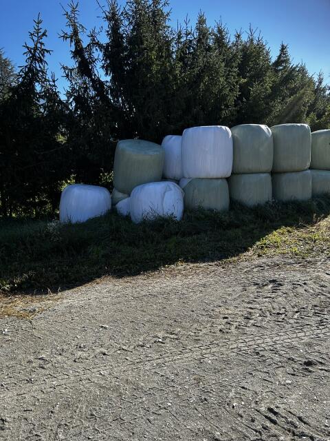 Gras-Siloballen