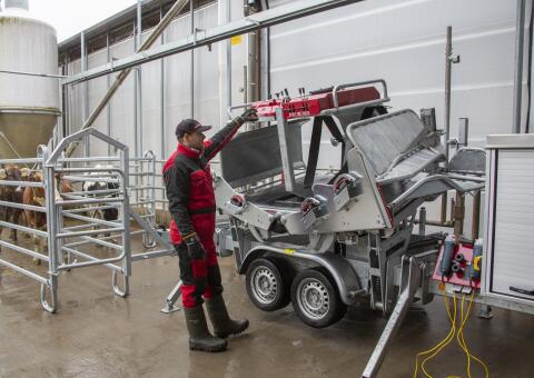 Rosensteiner RS-Q Trailer L50 Vorführer, Profi-Kippstand
