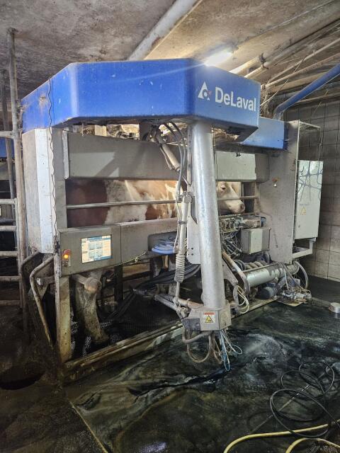 2x DeLaval VMS Classic