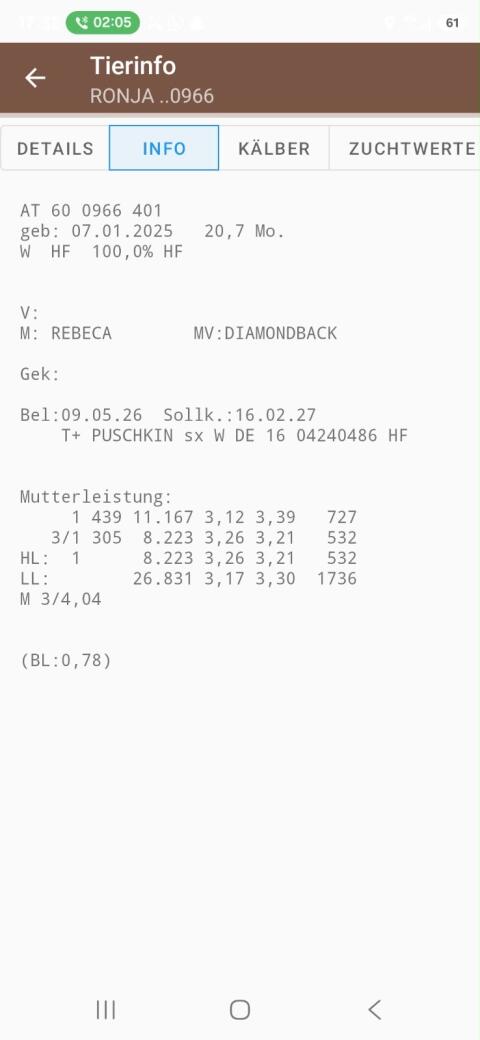 2 trächtige HF Kalbinnen