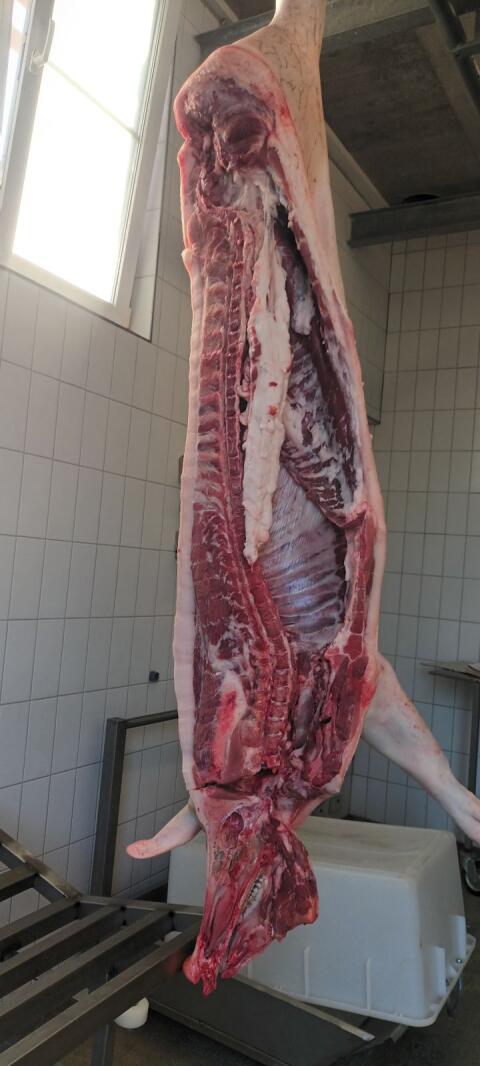 Salami / Speck Schwein