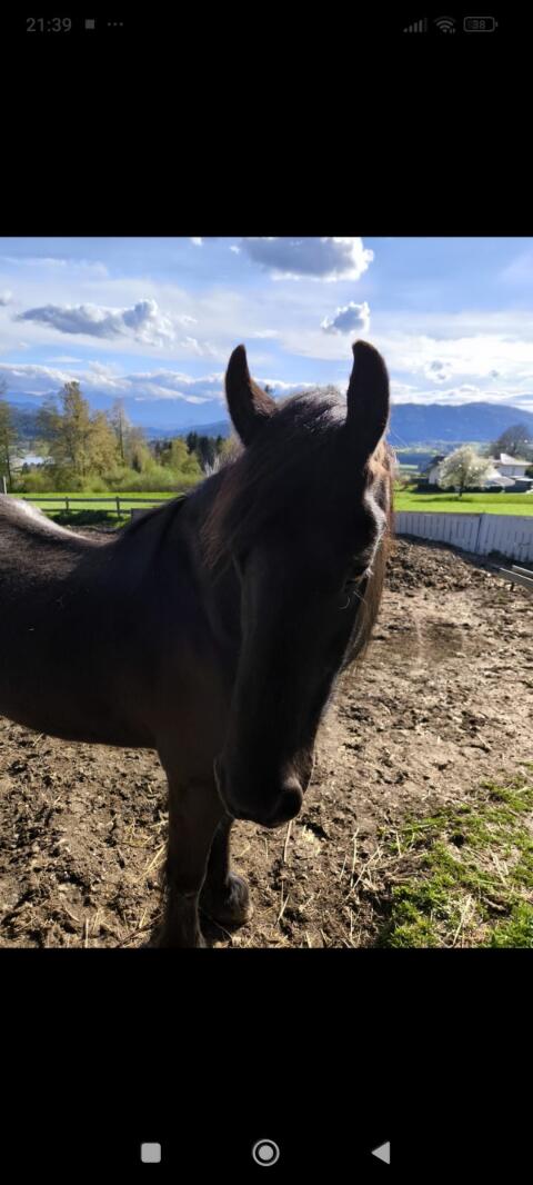 Bestplatz gesucht