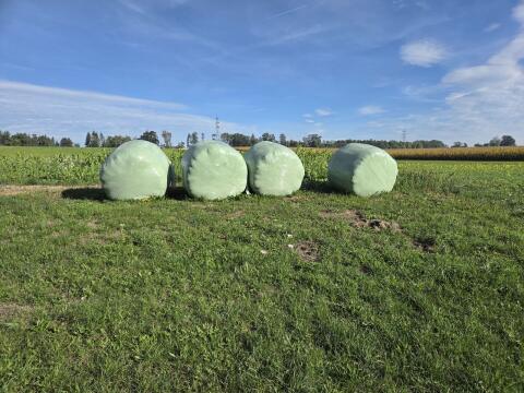 Silageballen, Ernte August 26