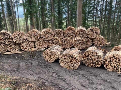 Brennholz