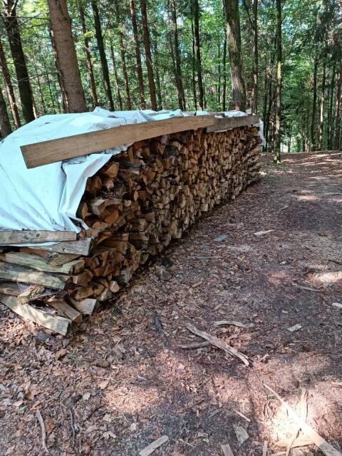 Brennholz