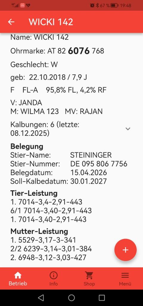 Bio-Fleckviehkuh