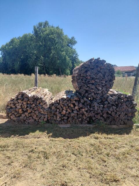 Brennholz in Bündel