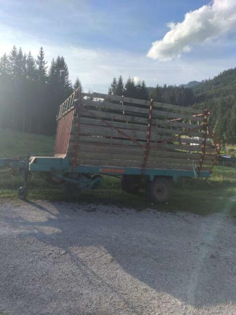 Steyr Hamster Junior
