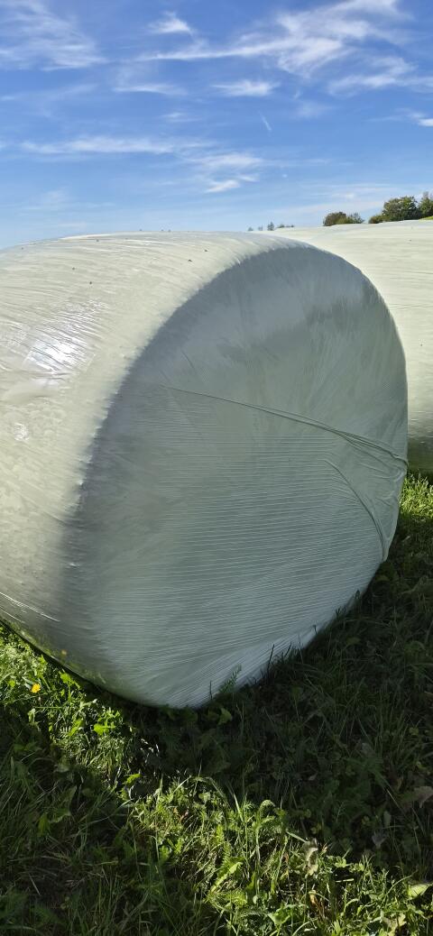 Maisballen