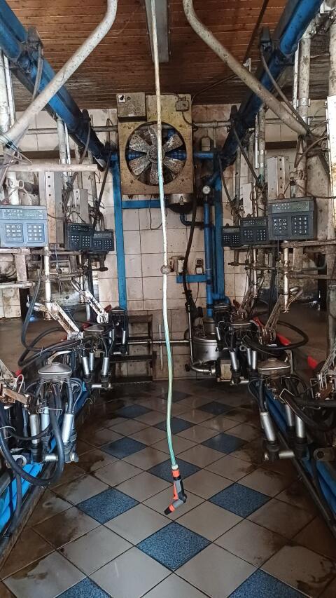 Melkstand DeLaval