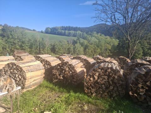 Brennholz Buche