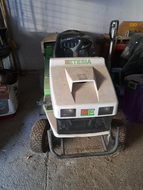 Etesia