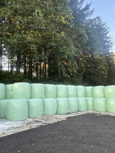 Maisballen