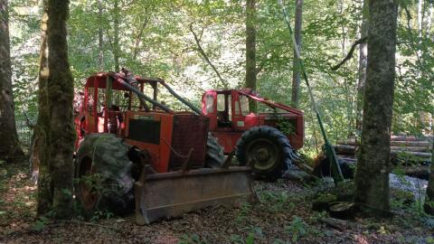 Timberjack 360