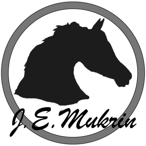 Reitbeteiligung